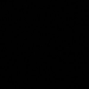 Meet your Posher, Do